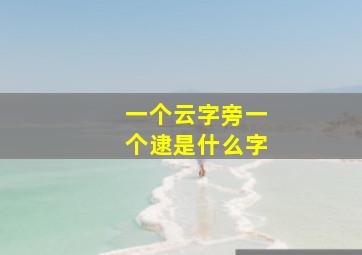 一个云字旁一个逮是什么字