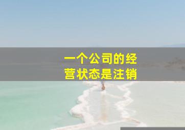 一个公司的经营状态是注销