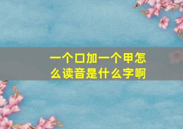 一个口加一个甲怎么读音是什么字啊