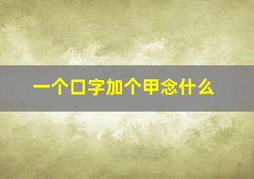 一个口字加个甲念什么