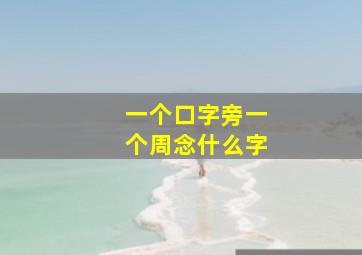 一个口字旁一个周念什么字