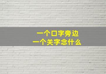 一个口字旁边一个关字念什么