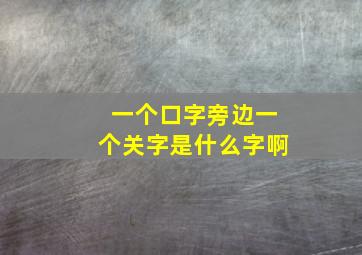 一个口字旁边一个关字是什么字啊