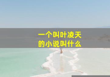 一个叫叶凌天的小说叫什么