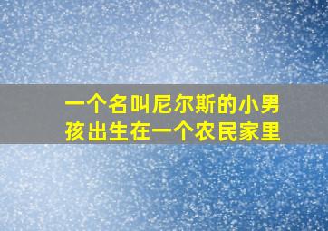 一个名叫尼尔斯的小男孩出生在一个农民家里