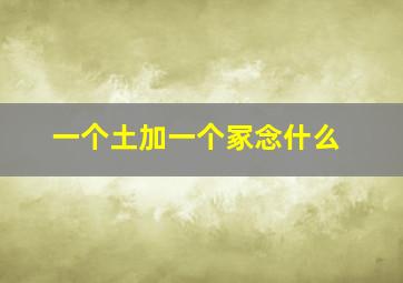 一个土加一个冢念什么