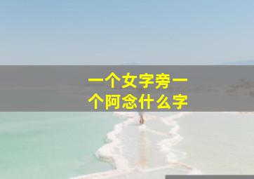 一个女字旁一个阿念什么字