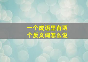 一个成语里有两个反义词怎么说