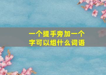 一个提手旁加一个字可以组什么词语