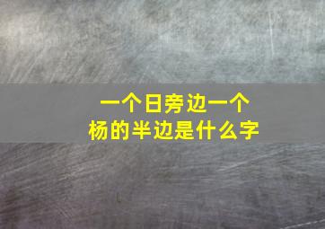 一个日旁边一个杨的半边是什么字