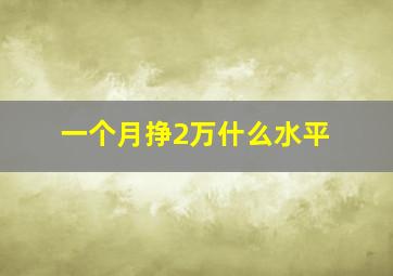 一个月挣2万什么水平