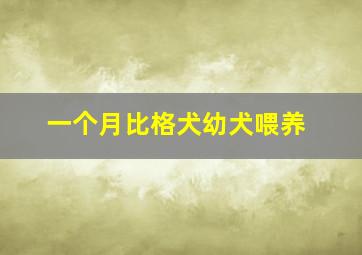 一个月比格犬幼犬喂养