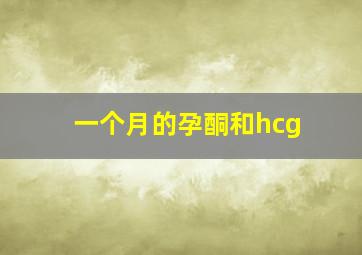 一个月的孕酮和hcg