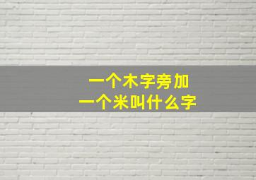 一个木字旁加一个米叫什么字