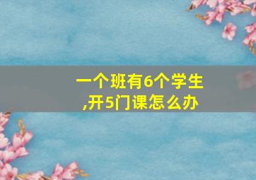 一个班有6个学生,开5门课怎么办