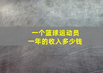 一个篮球运动员一年的收入多少钱