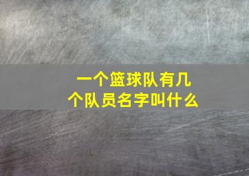 一个篮球队有几个队员名字叫什么