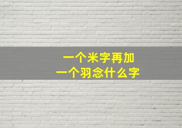 一个米字再加一个羽念什么字