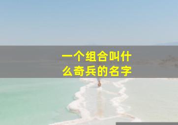 一个组合叫什么奇兵的名字