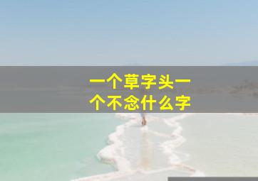 一个草字头一个不念什么字