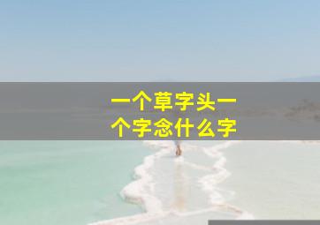 一个草字头一个字念什么字