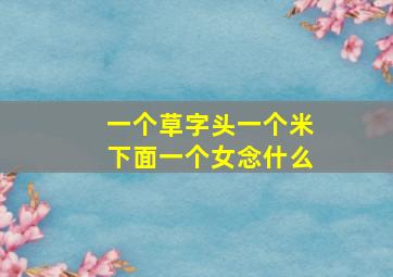 一个草字头一个米下面一个女念什么