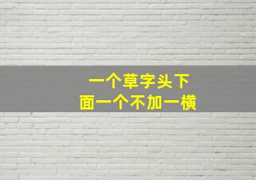 一个草字头下面一个不加一横