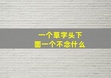 一个草字头下面一个不念什么