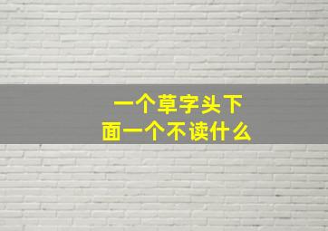 一个草字头下面一个不读什么