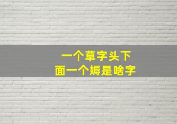 一个草字头下面一个媷是啥字