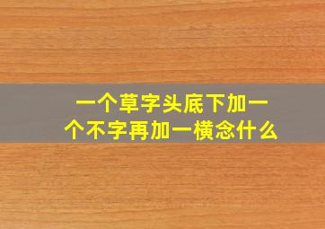 一个草字头底下加一个不字再加一横念什么