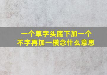 一个草字头底下加一个不字再加一横念什么意思