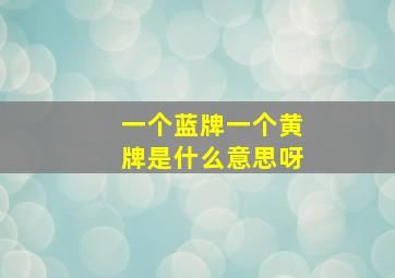 一个蓝牌一个黄牌是什么意思呀