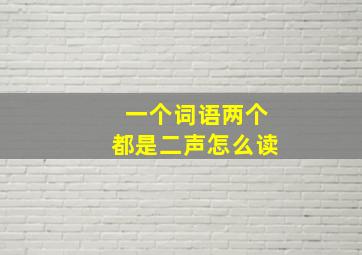 一个词语两个都是二声怎么读