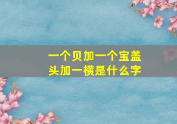 一个贝加一个宝盖头加一横是什么字