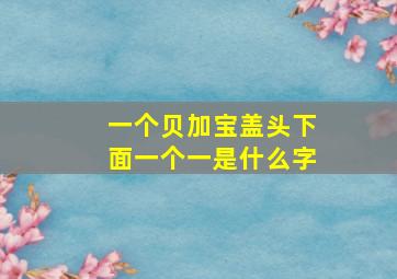 一个贝加宝盖头下面一个一是什么字