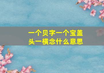 一个贝字一个宝盖头一横念什么意思