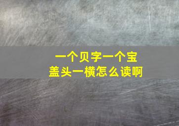 一个贝字一个宝盖头一横怎么读啊