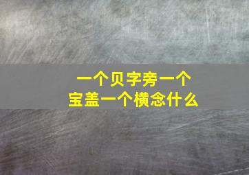 一个贝字旁一个宝盖一个横念什么