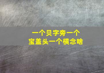 一个贝字旁一个宝盖头一个横念啥