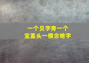 一个贝字旁一个宝盖头一横念啥字