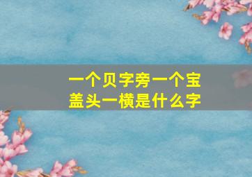 一个贝字旁一个宝盖头一横是什么字