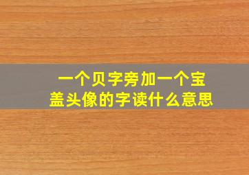 一个贝字旁加一个宝盖头像的字读什么意思