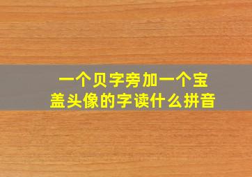 一个贝字旁加一个宝盖头像的字读什么拼音