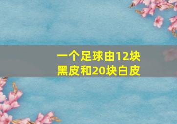 一个足球由12块黑皮和20块白皮