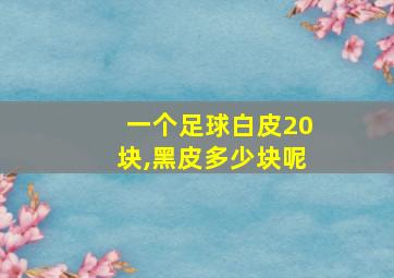 一个足球白皮20块,黑皮多少块呢