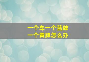 一个车一个蓝牌一个黄牌怎么办