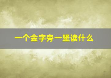 一个金字旁一坚读什么