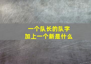 一个队长的队字加上一个新是什么