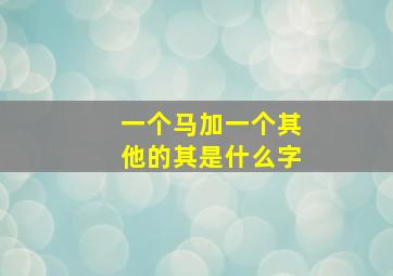 一个马加一个其他的其是什么字